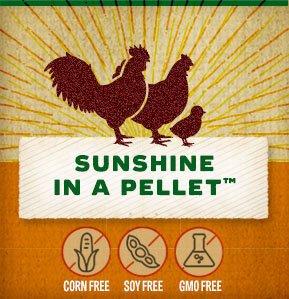 Sunshine+in+a+pellet+copy.jpg