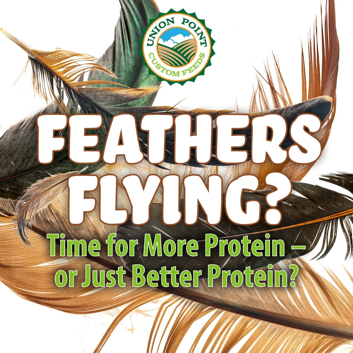 Protein Matters During Molting Season, But It’s About More Than Percentages