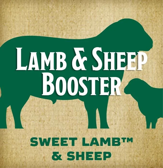 Lamb-and-sheep-booster-btn.jpg