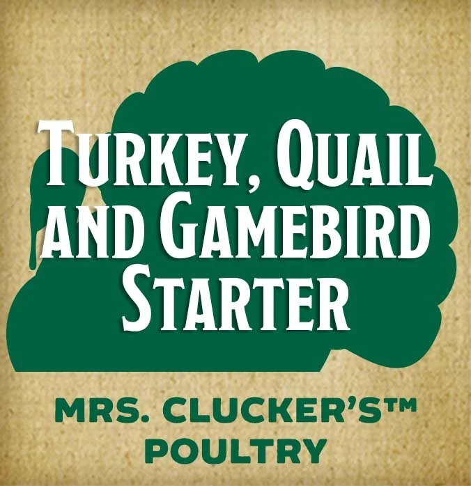 Turkey-quail-and-gamebird-starter-btn.jpg