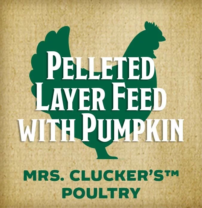 Pelleted layer feed with pumpkin-btn.jpg