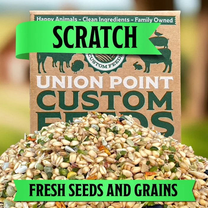 Sustainable Scratch