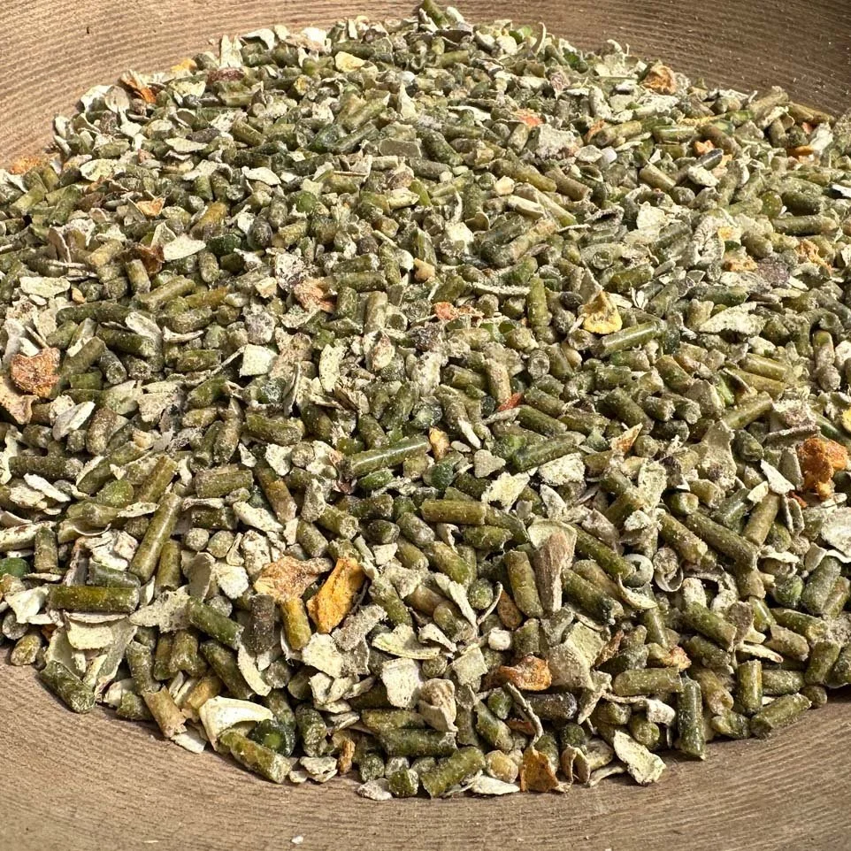 Out-to-pasture-horse-feed-1.jpg