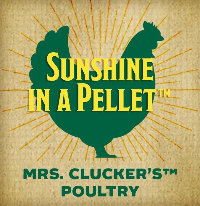 Sunshine in a Pellet-btn.jpg