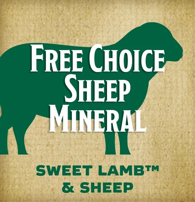 Free-choice-sheep-mineral-btn.jpg