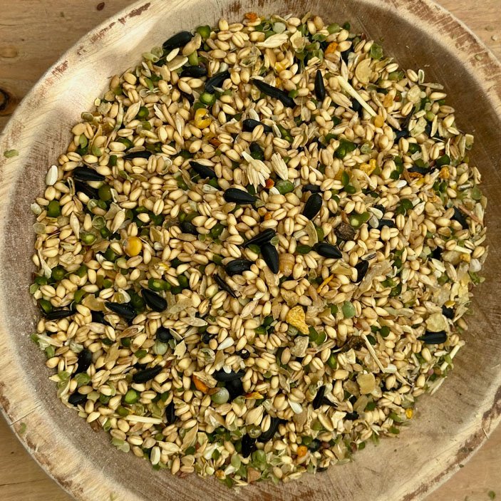 scratch bowl.jpg