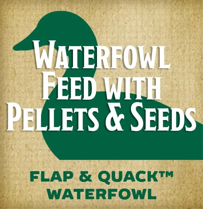 waterfowl-feed-with-pellets-and-seeds-btn.jpg