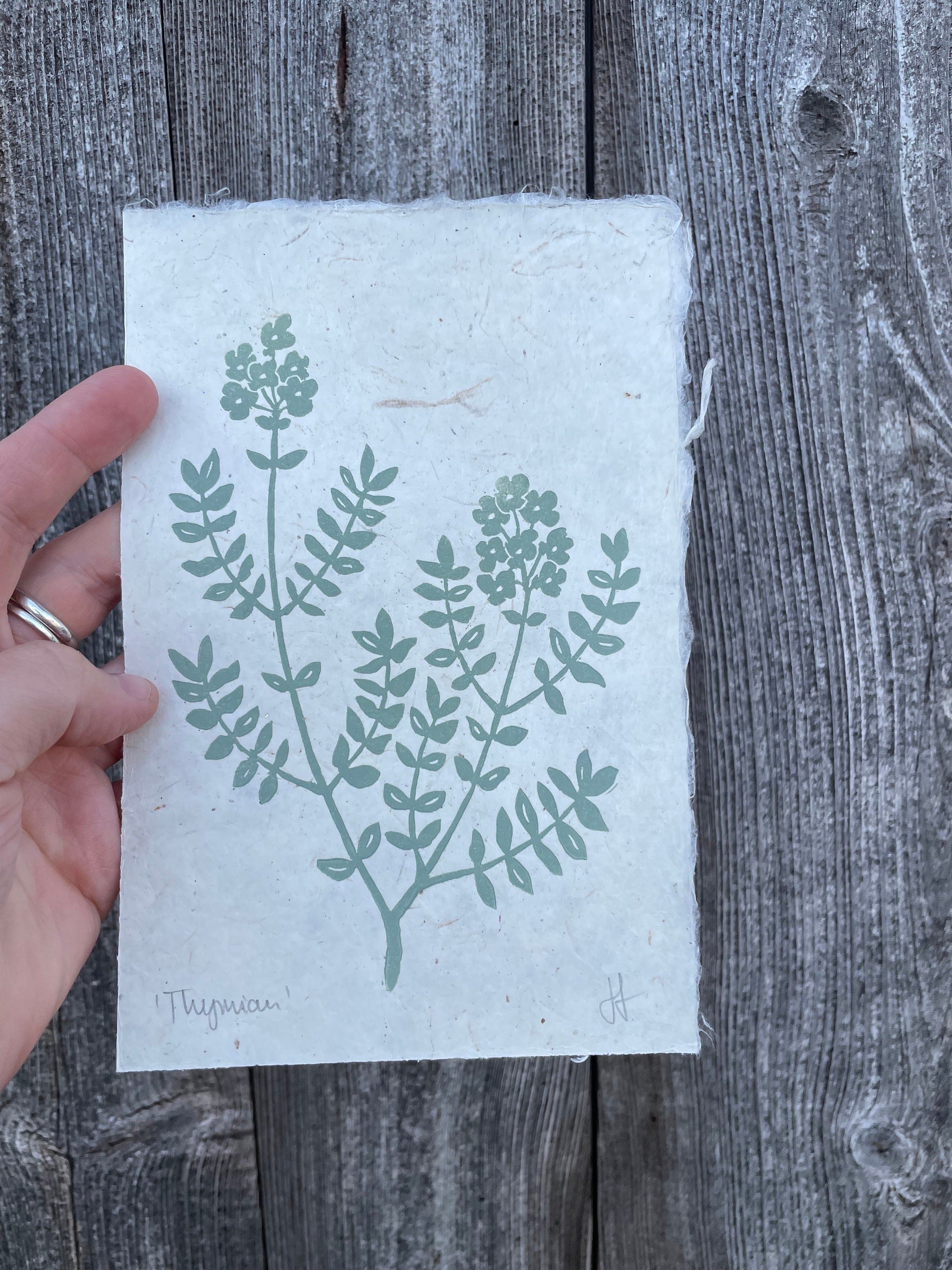 https://i.etsystatic.com/51301811/r/il/df63d3/6058836091/il_fullxfull.6058836091_5qgd.jpg