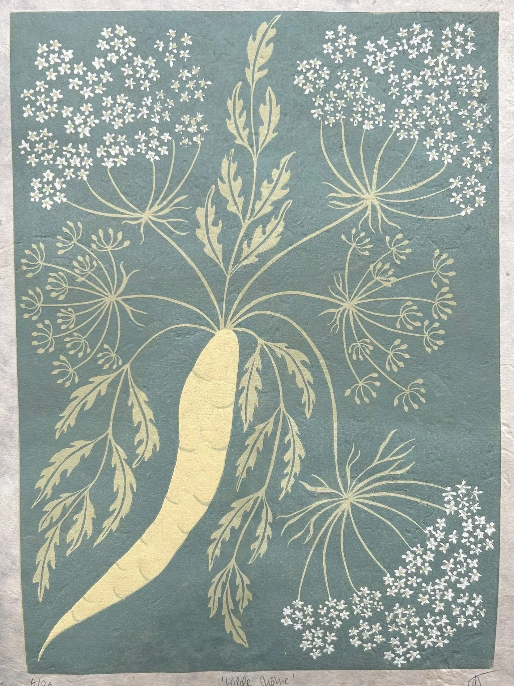 "Wilde Möhre", 4 Farben, Auflage: 26