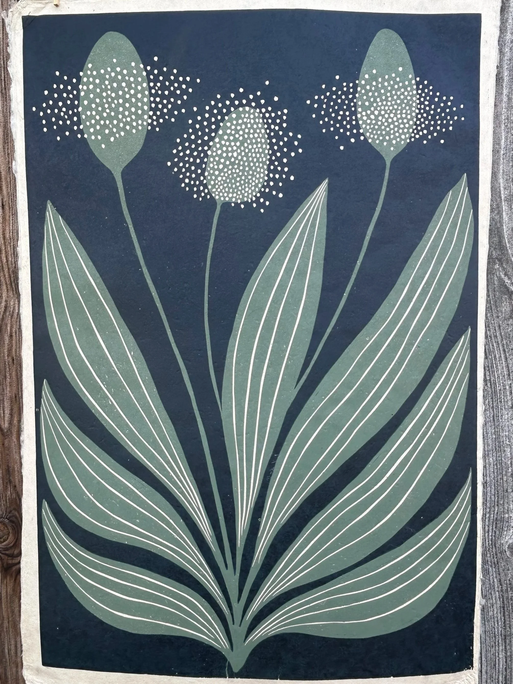Plantago lanceolata, 2 Farben, Auflage: 10