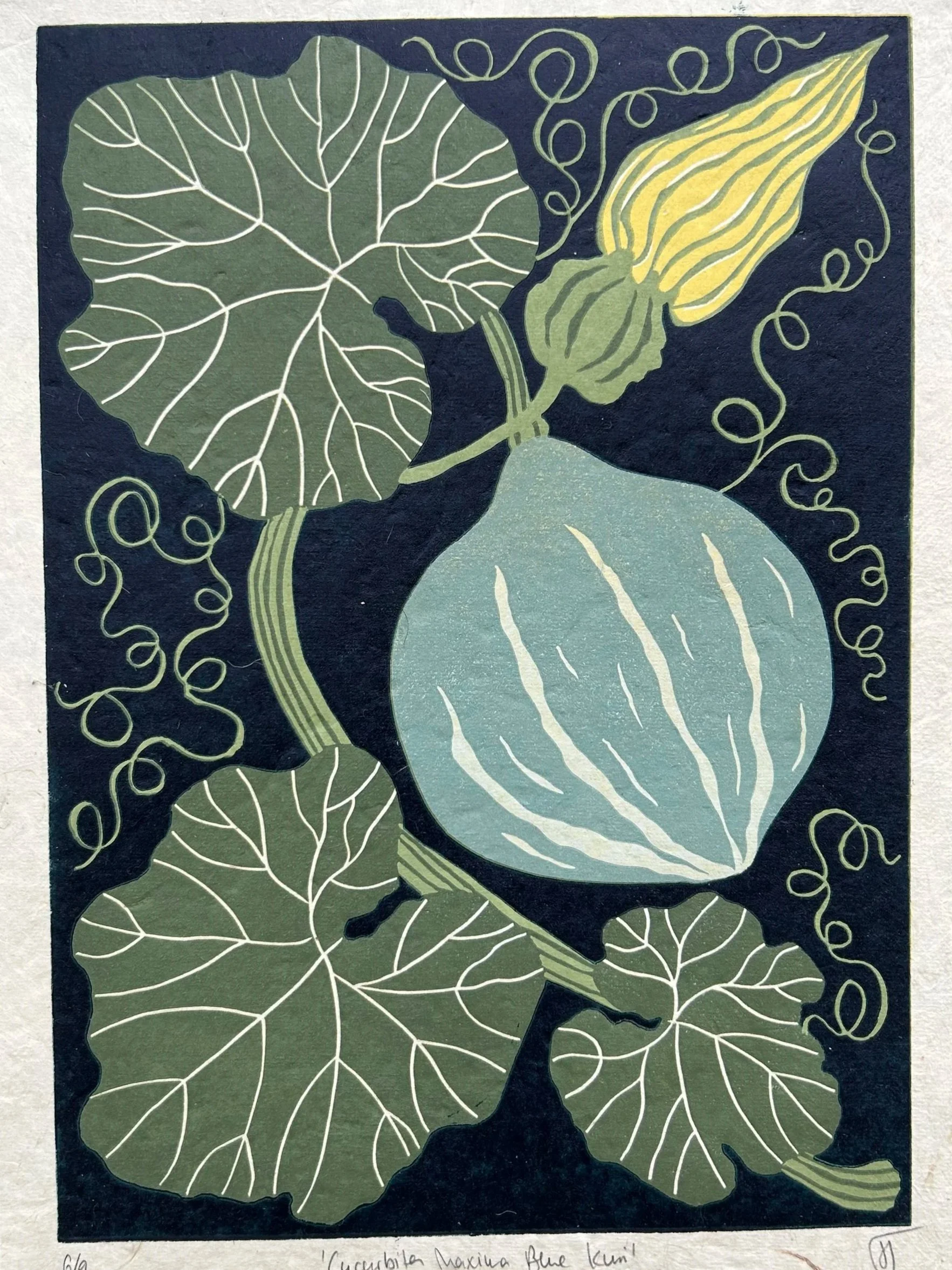 "Cucurbita Maxima Blue Kuri", 6 Farben, Auflage: 9