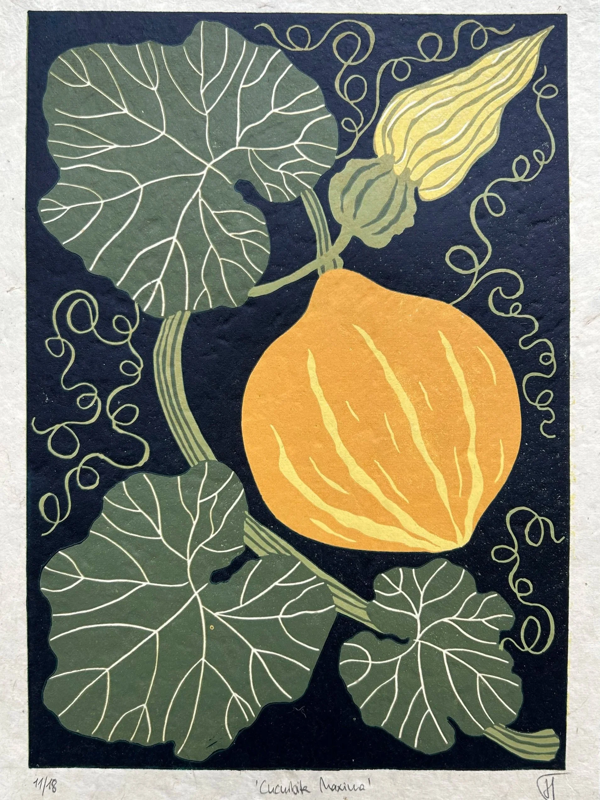 "Cucurbita maxima", 5 Farben, Auflage: 18