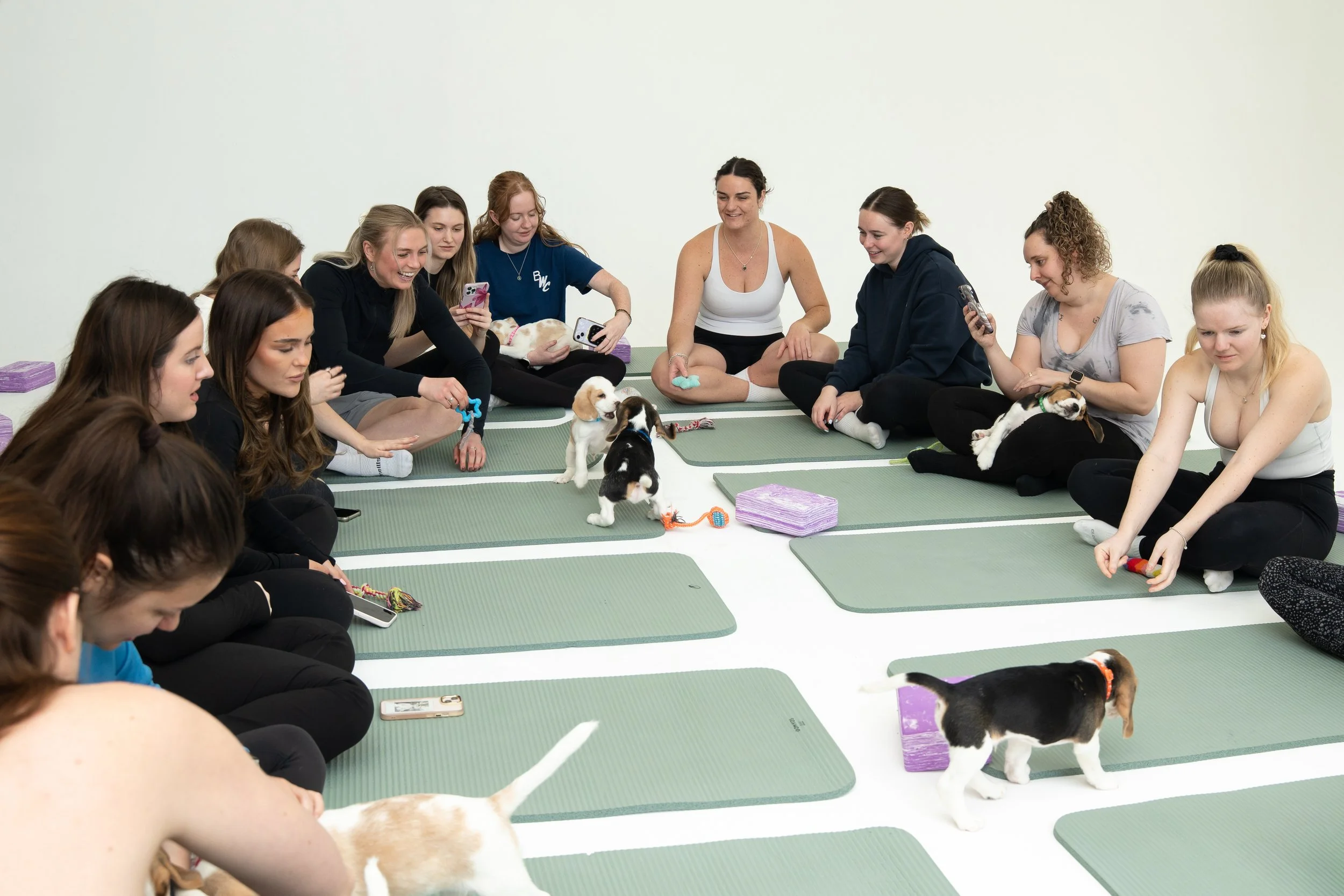 A group of women sitting on yoga mats indoors, playing with and holding several puppies.