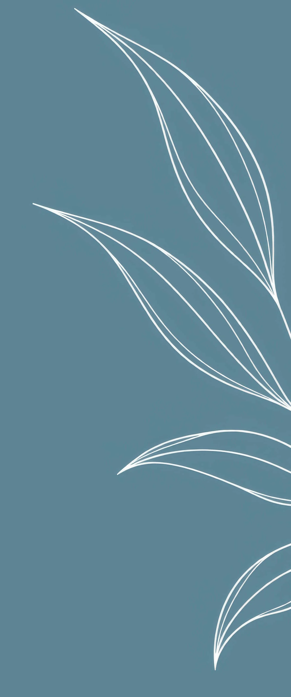 Minimalist illustration of white, curved leaf outlines on a muted teal background.