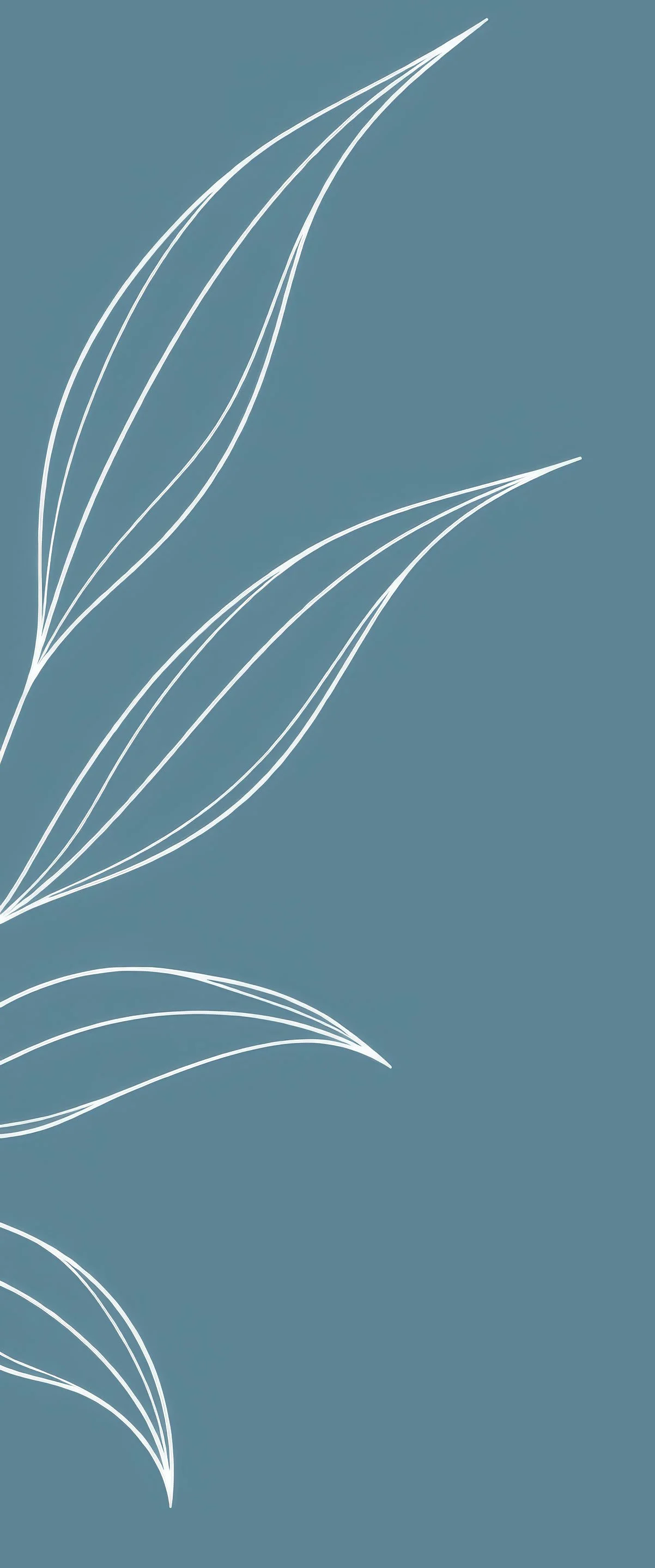 Minimalist art with white outlined leaves on a muted blue background.