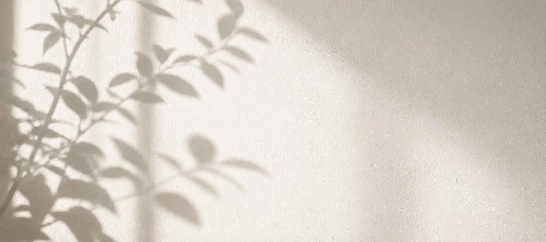 Shadow of a leafy plant cast on a light-colored wall.