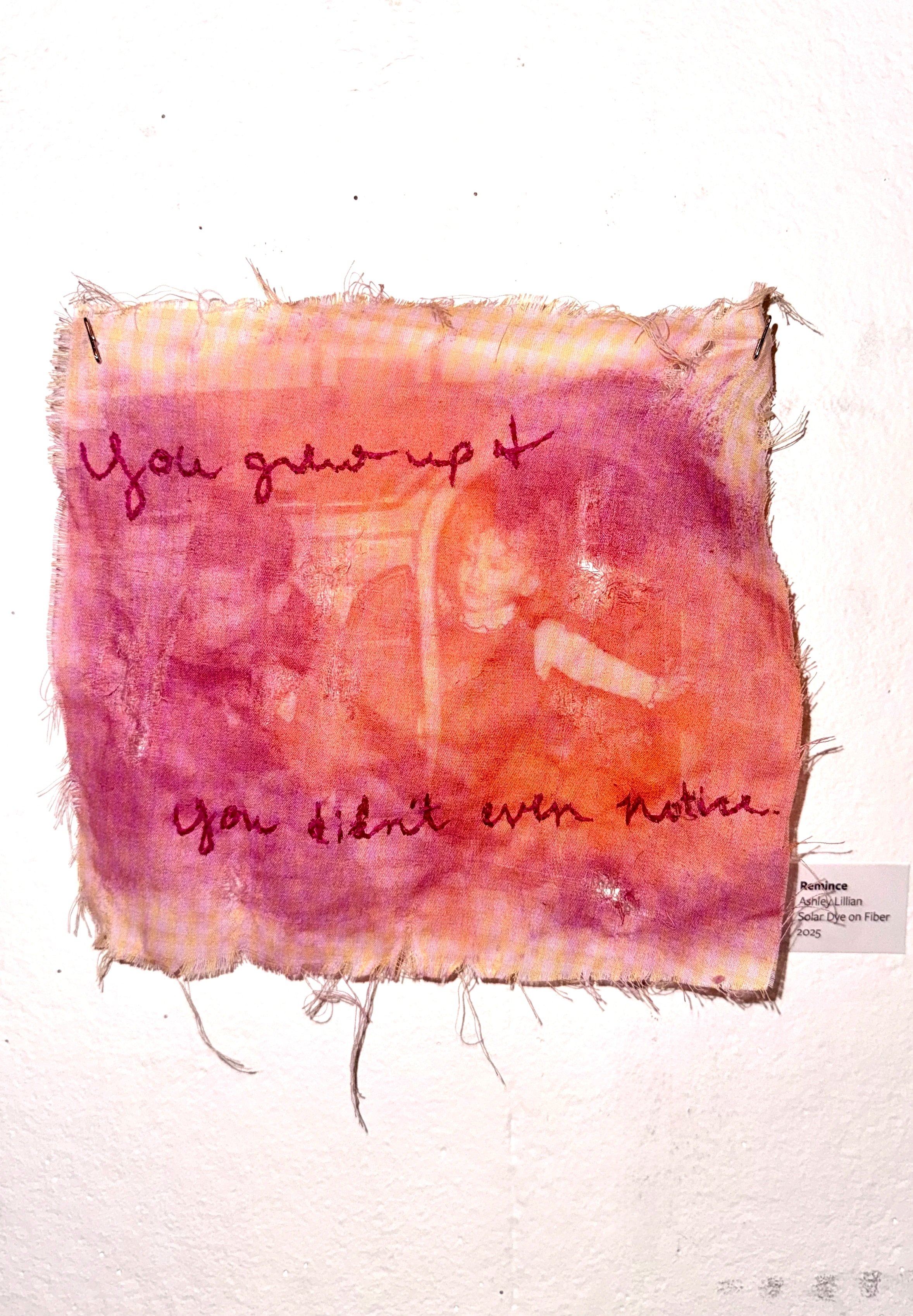 Reminisce | Solar Print on Fiber with Embroidery | Fall 2025