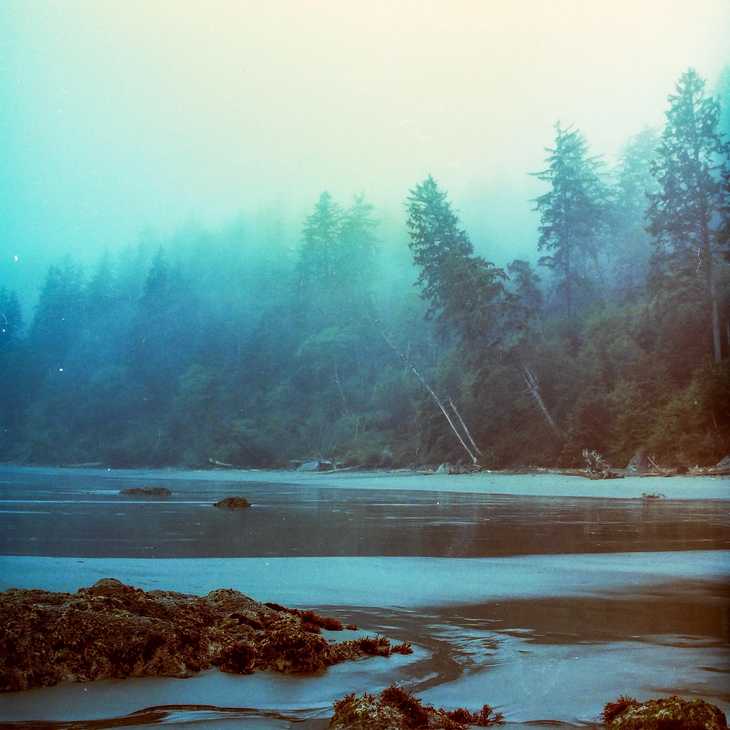 Second Beach, Olympic NP, Washington | Shot on Mamiya C220 on 120 Portra 400