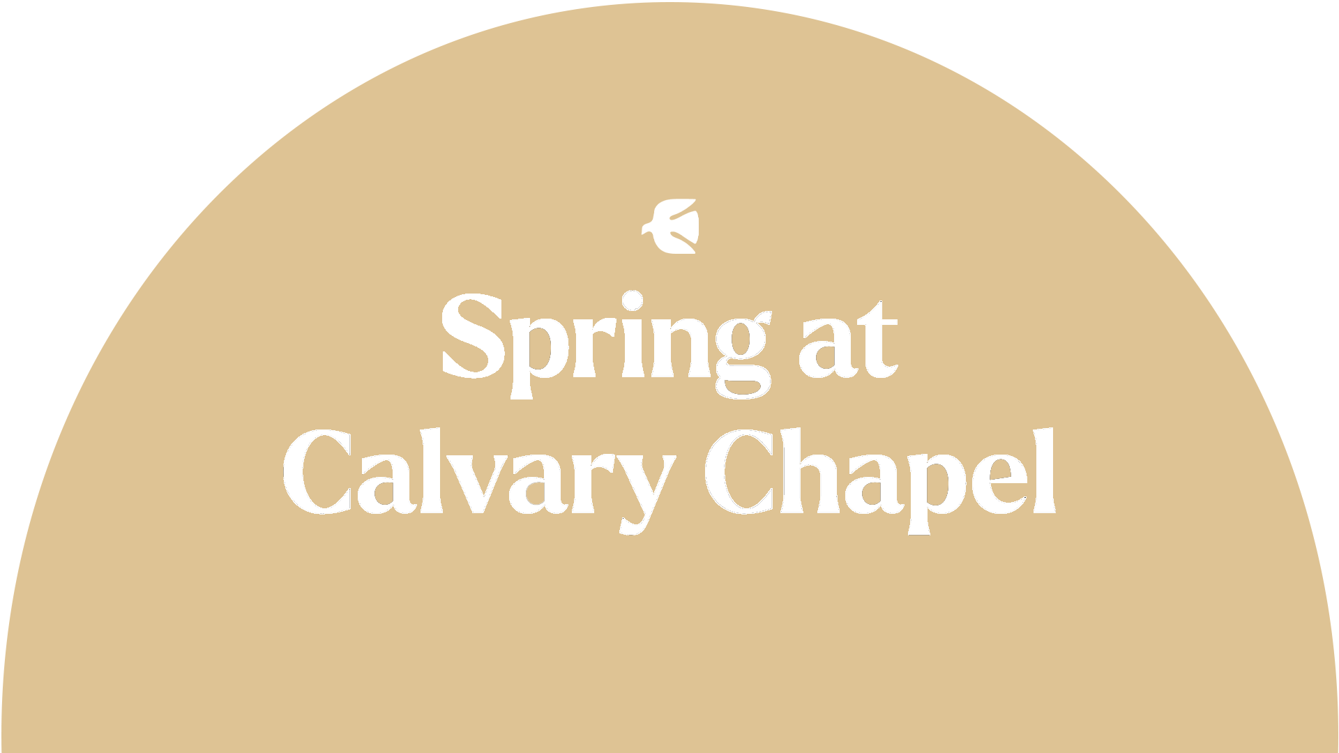 spring-banner copy.png