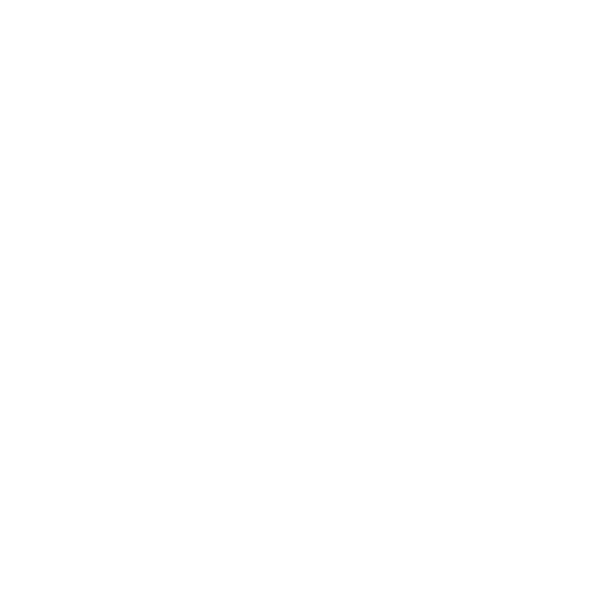 Chasing Honey Consulting Logo