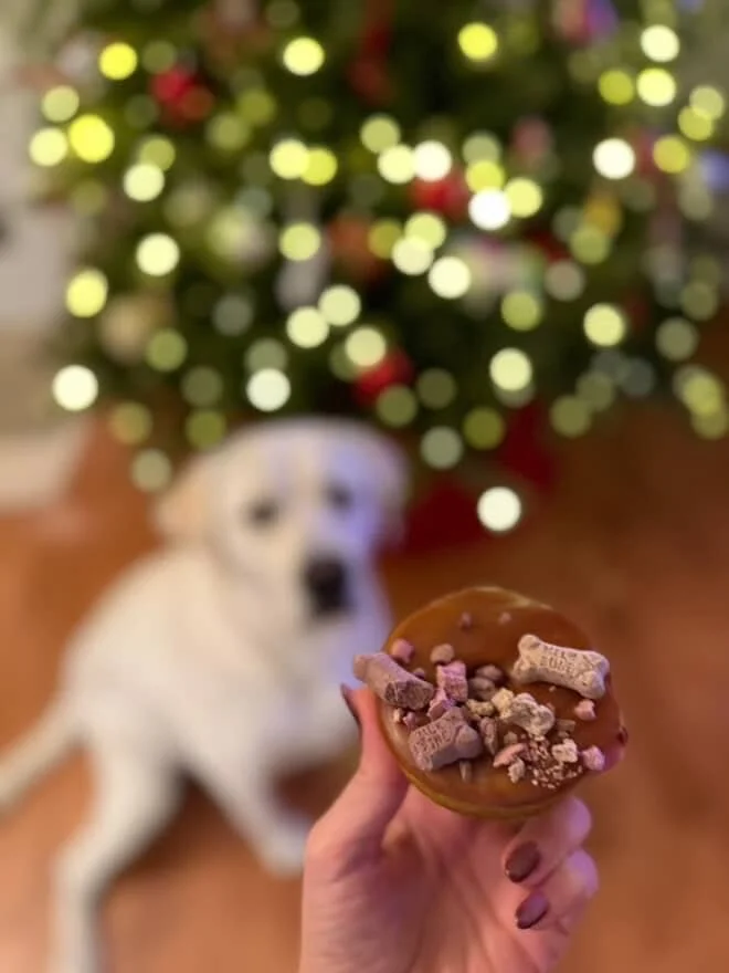 @goodboygeorgec modeling our puppy donuts in festive style😍😇🍰🫶🏻
Available daily at all location to pick up and treat your pup🩵