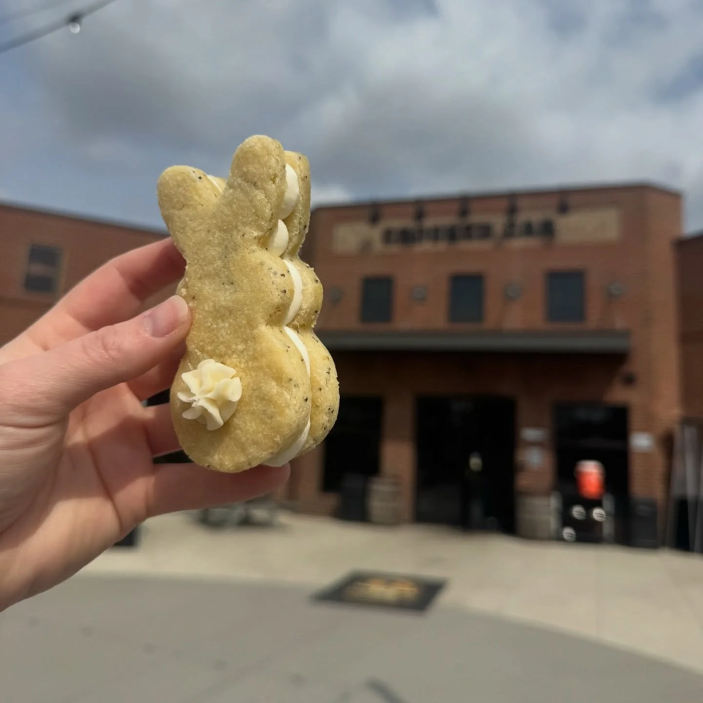 Lemon Poppyseed bunnies are hopping over to all locations tomorrow🐰🍋
Lemon poppy sugar cookies with cheesecake filling and a buttercream bushy tail 🫶🏻 we will keep them stocked through Easter weekend!