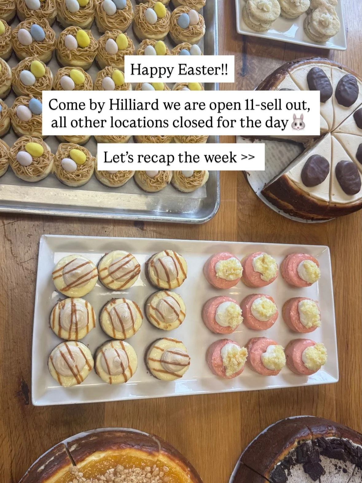 Happpppy Easter🐣🩵🍰🫶🏻