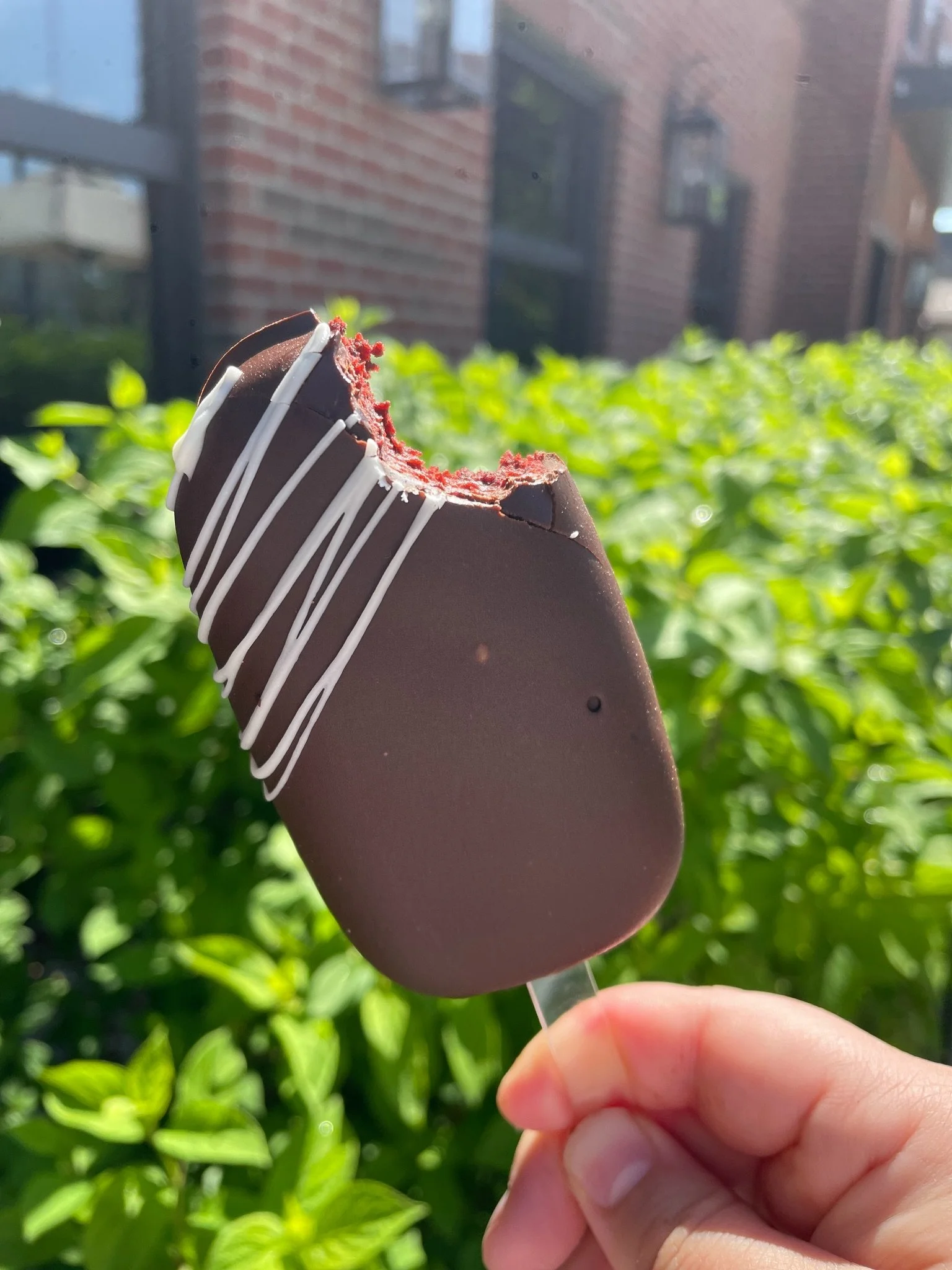 Red velvet Chocolate chip cake pops! Available at Hilliard⭐️🤗