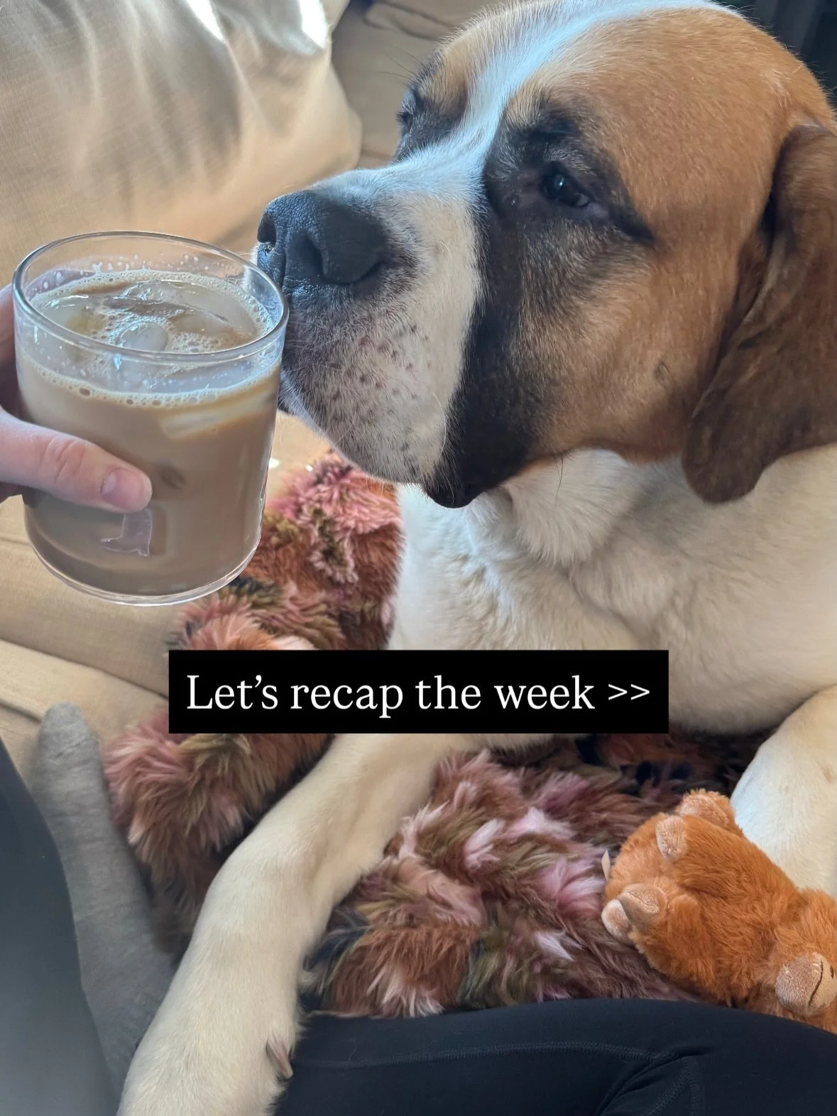 Weekly recap!!🍰🤗⭐️