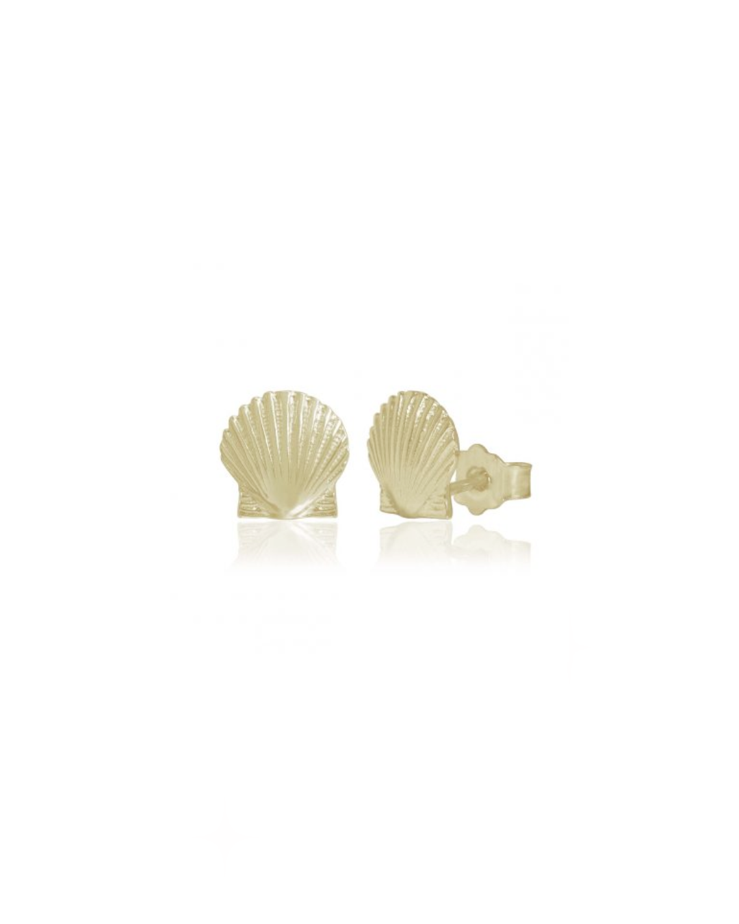 Seashell Stud Earrings