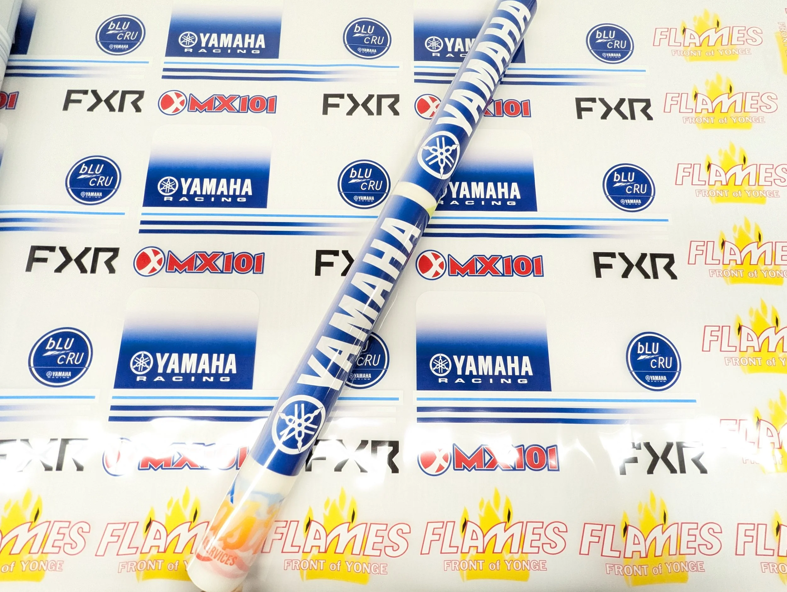 PXL_20250205_164332042.jpg