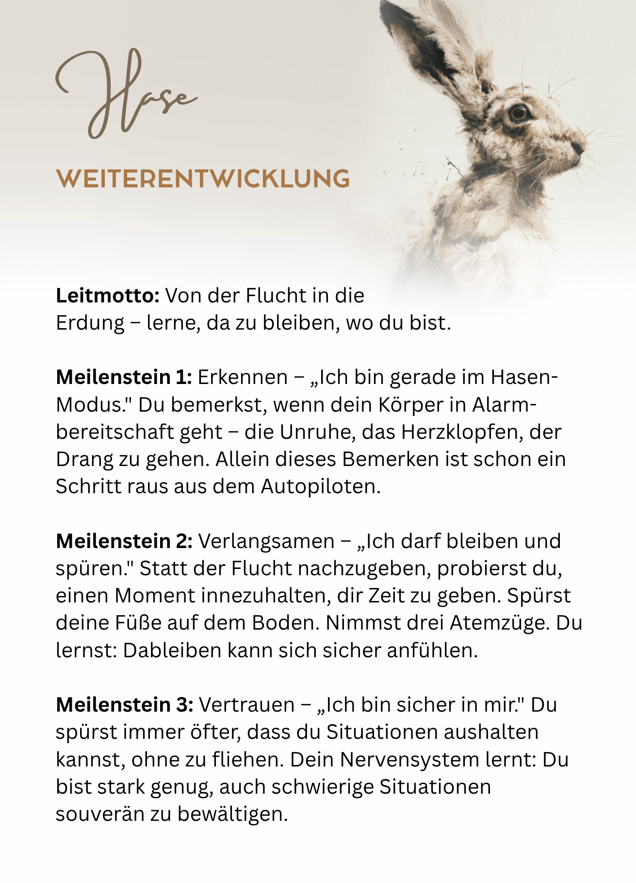 Kartenset Schutztiere (111 x 154 mm) (3).png