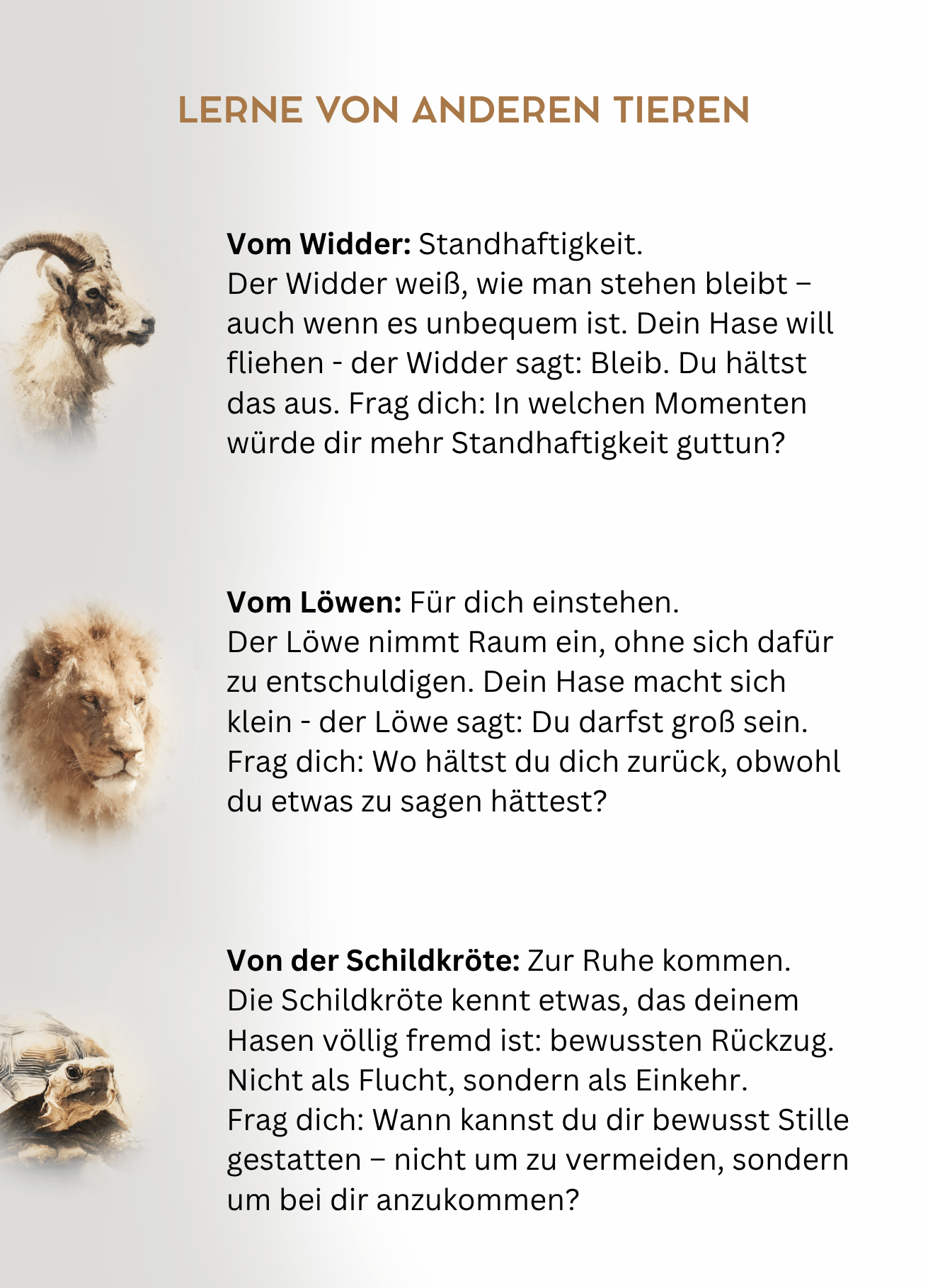Kartenset Schutztiere (111 x 154 mm) (4).png