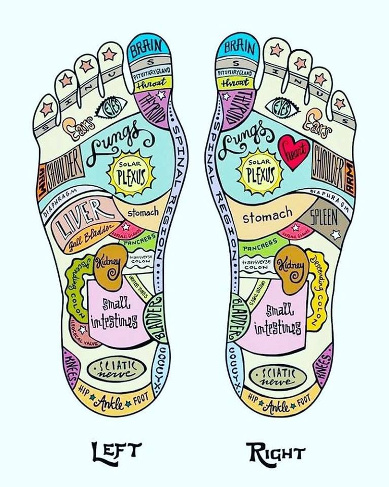 reflexology chart.jpg