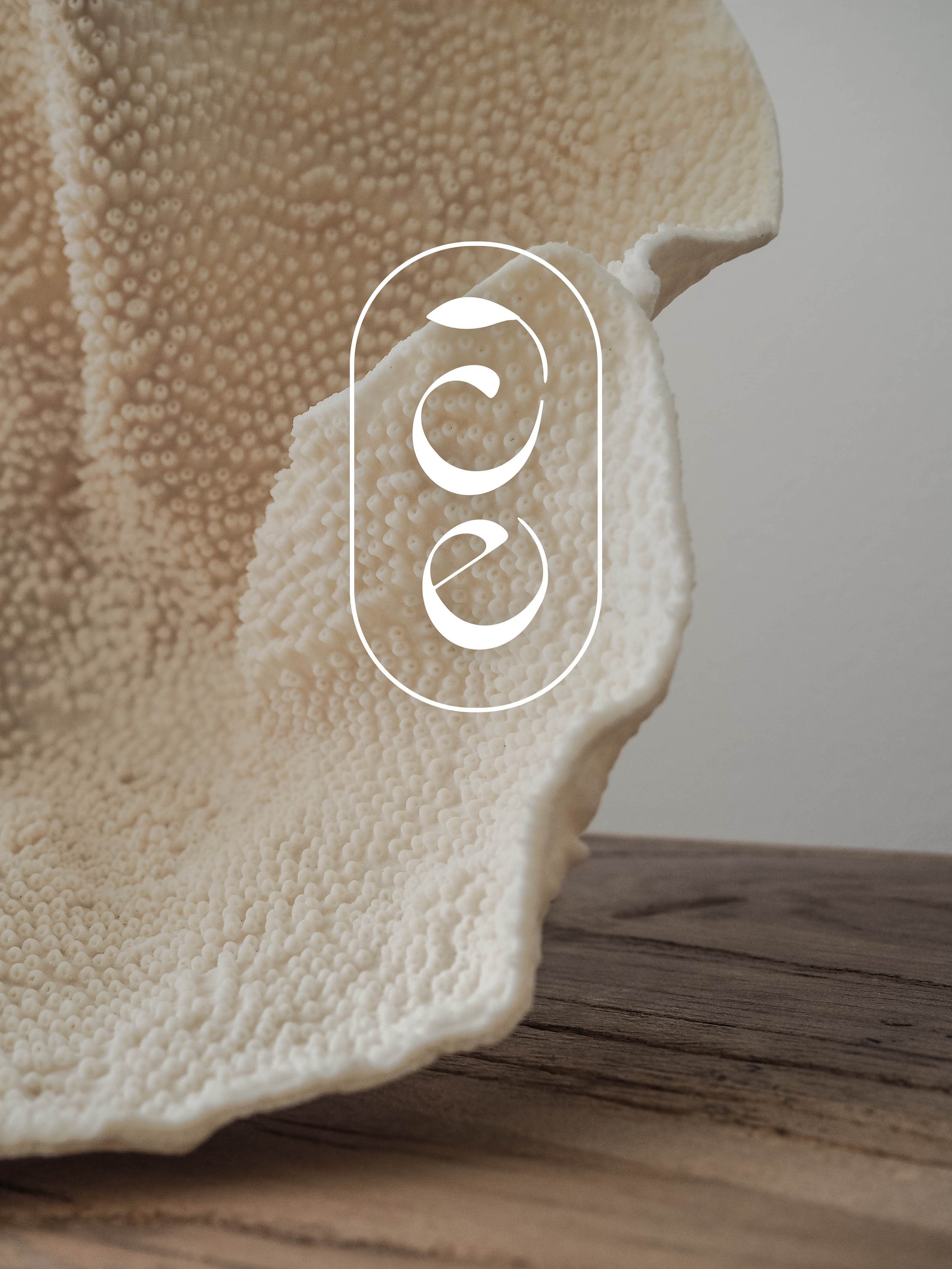 CE logo concept | organic