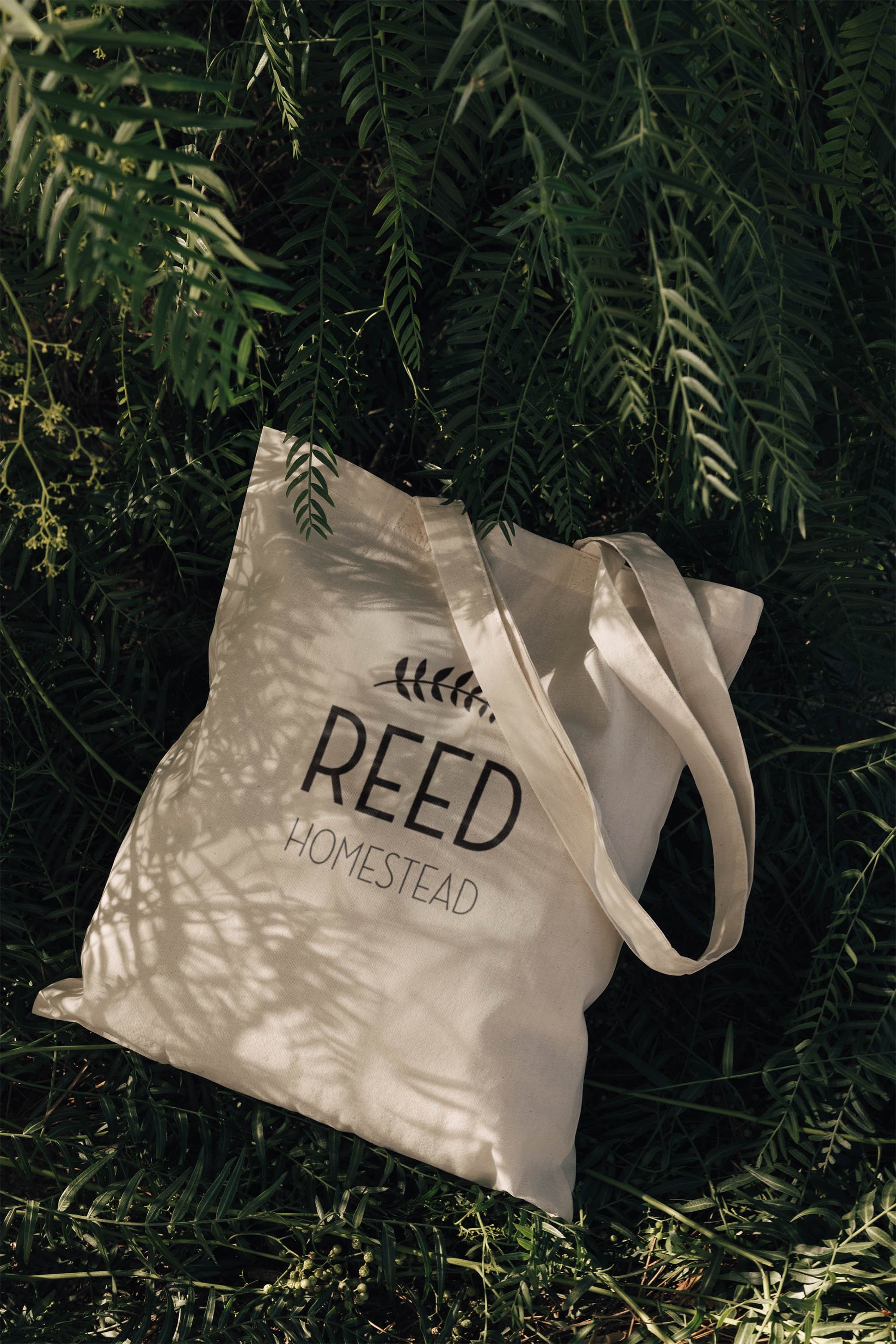 Reed leaf logo concept | modern