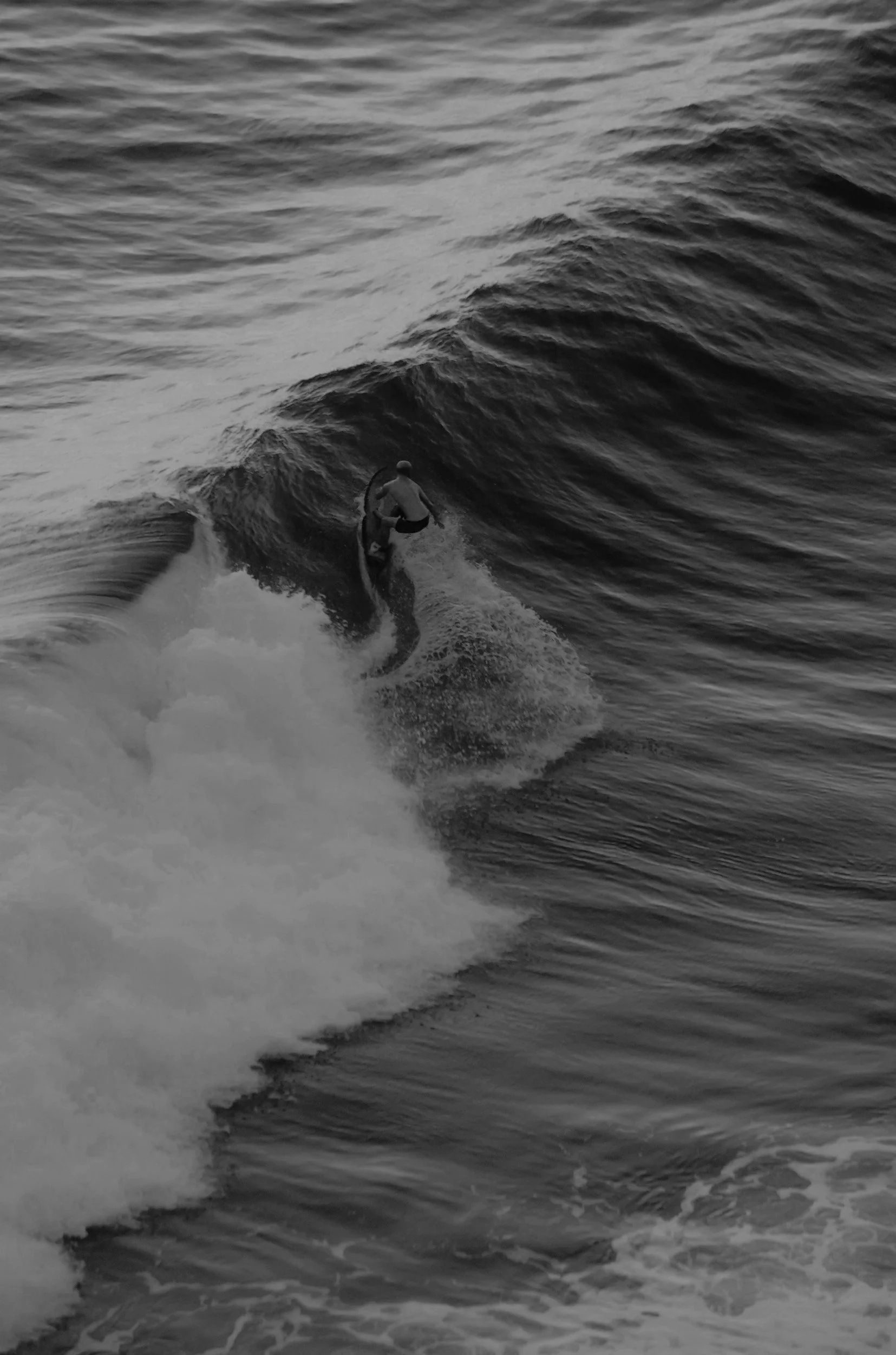 Black-and-white photo of a surfer riding a wave in the Pacific Ocean near San Diego, showcasing dynamic ocean energy and coastal surf culture