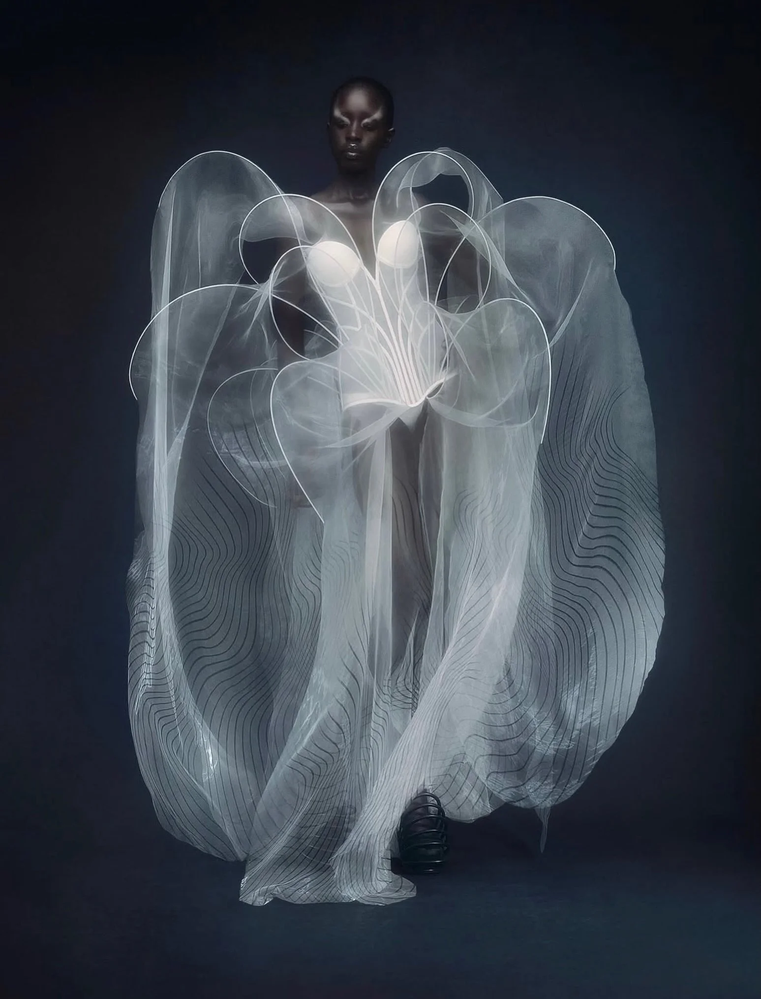 Delicate, otherworldly, and alive with the quiet power of renewal.

&bull;&bull;&bull;
#repost

@irisvanherpen The Dorhni jellyfish is one of the ocean&rsquo;s most inspiring creatures, as it is biologically immortal and can reverse its life cycle, t