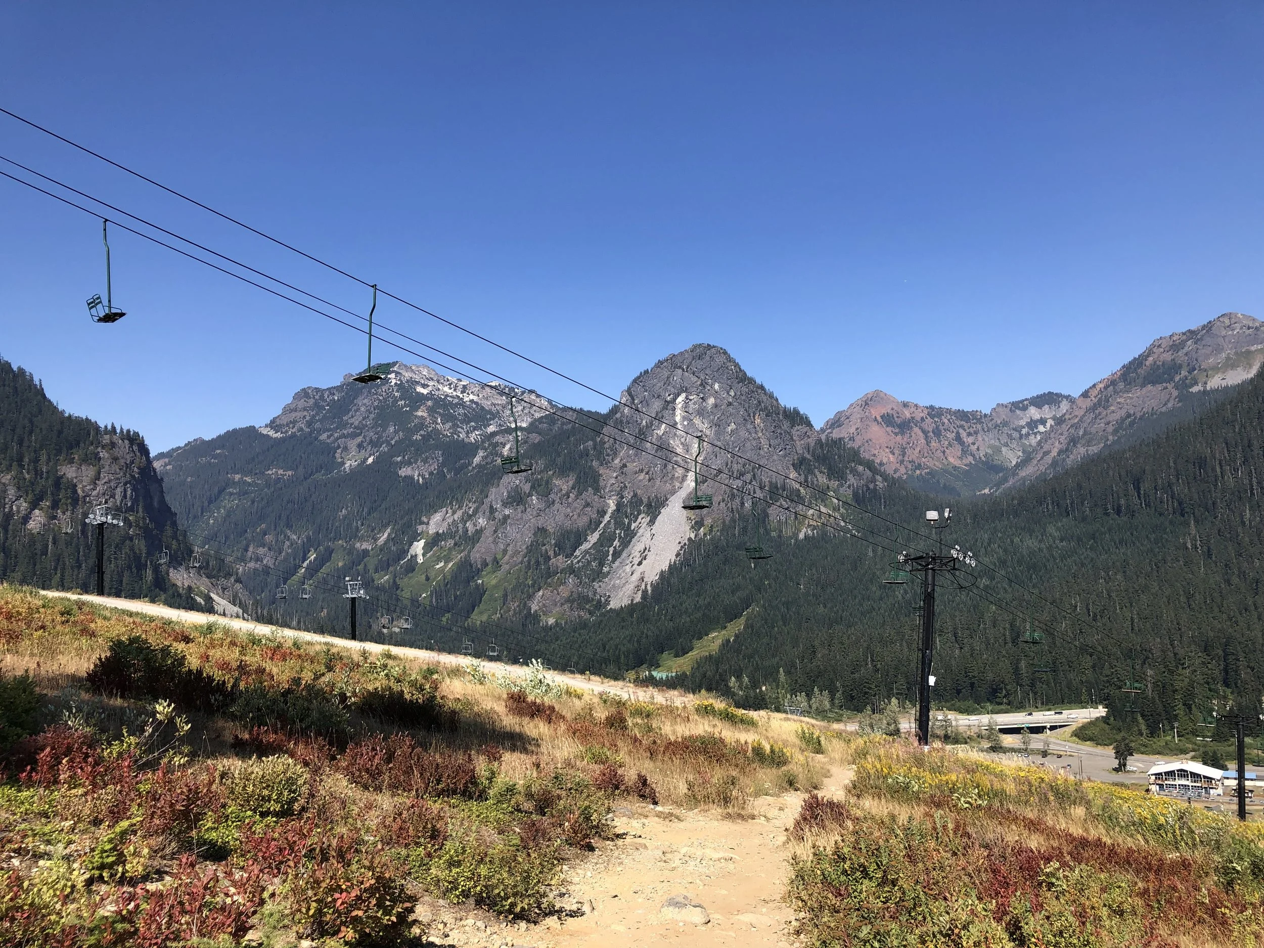 IMG_9850.jpeg