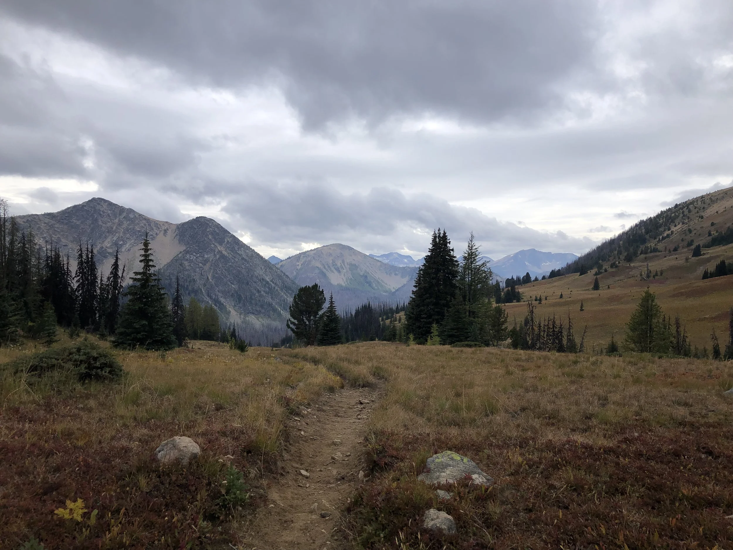 IMG_0106.jpeg