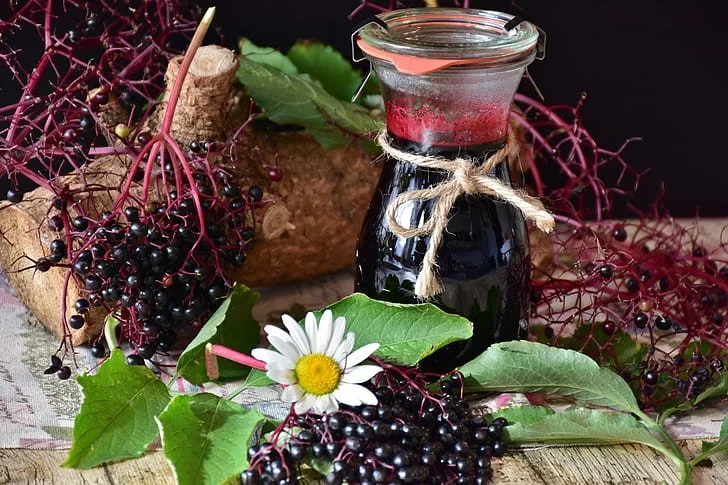 DIY Elderberry Syrup: A Vital Boost for Your Wellness Tea Blends