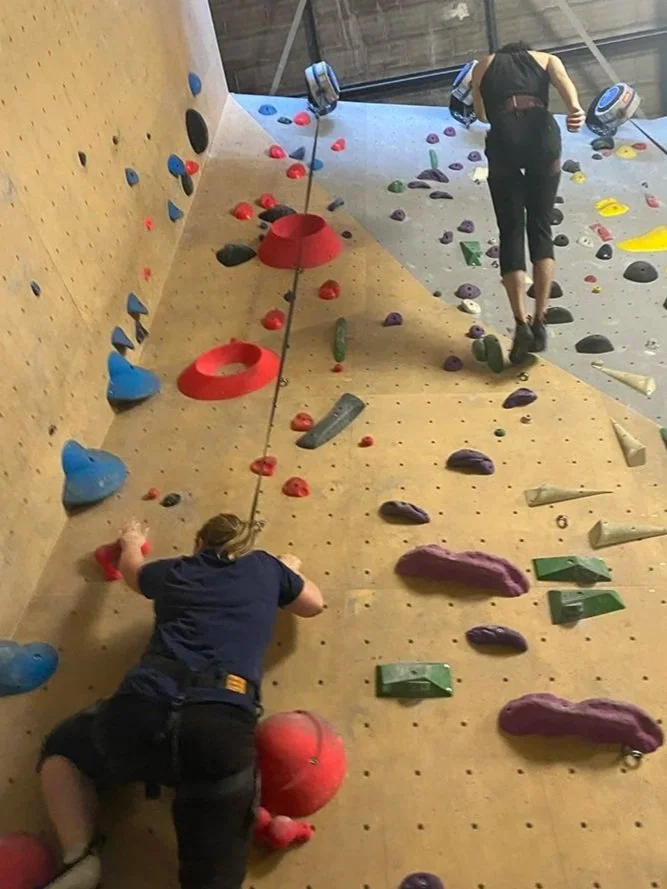 Indoor rock climbing wall with two climbers secured by harnesses and ropes, ascending colorful holds on wooden panels.