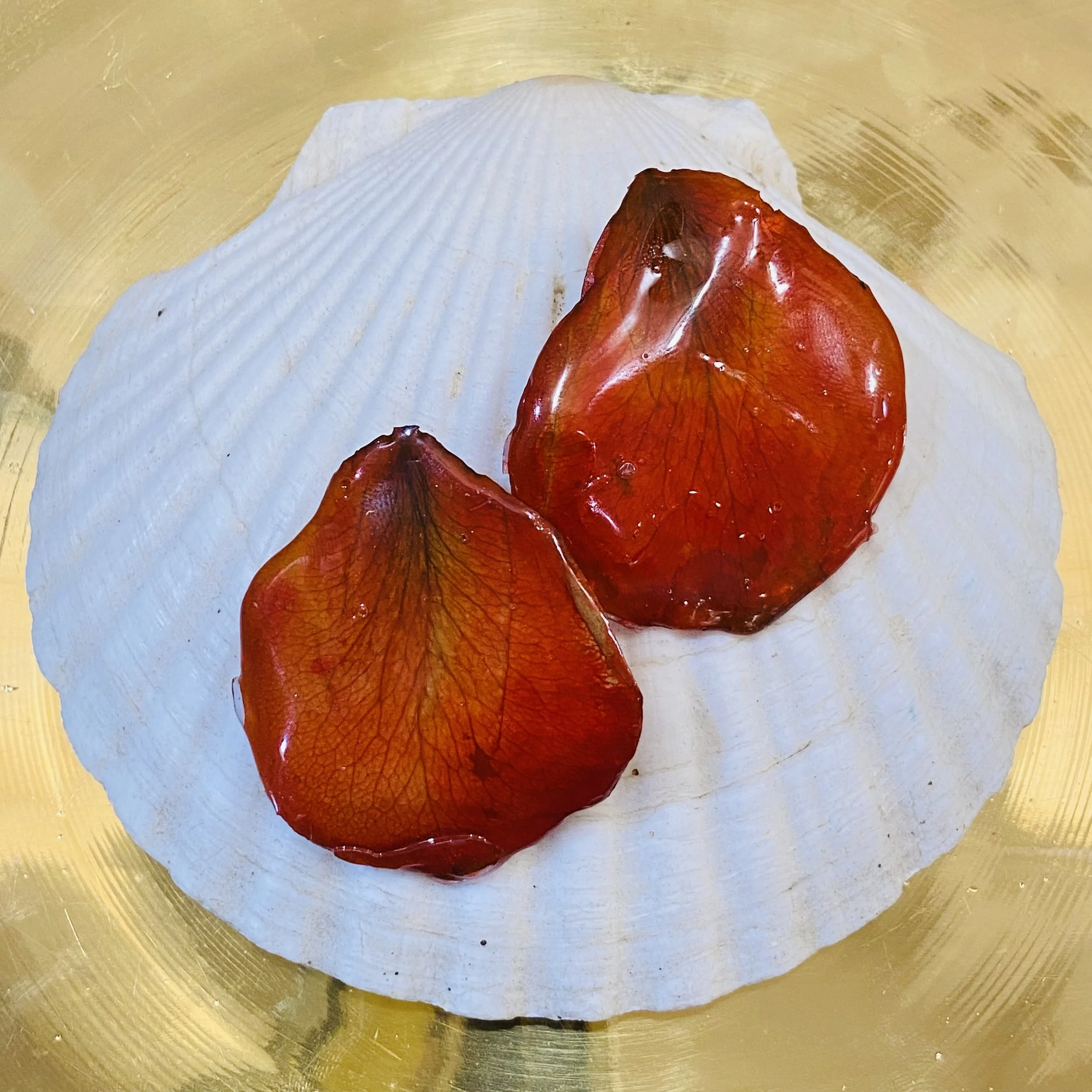 Hand painted rect resin gold plated wire earrings — Red Fire