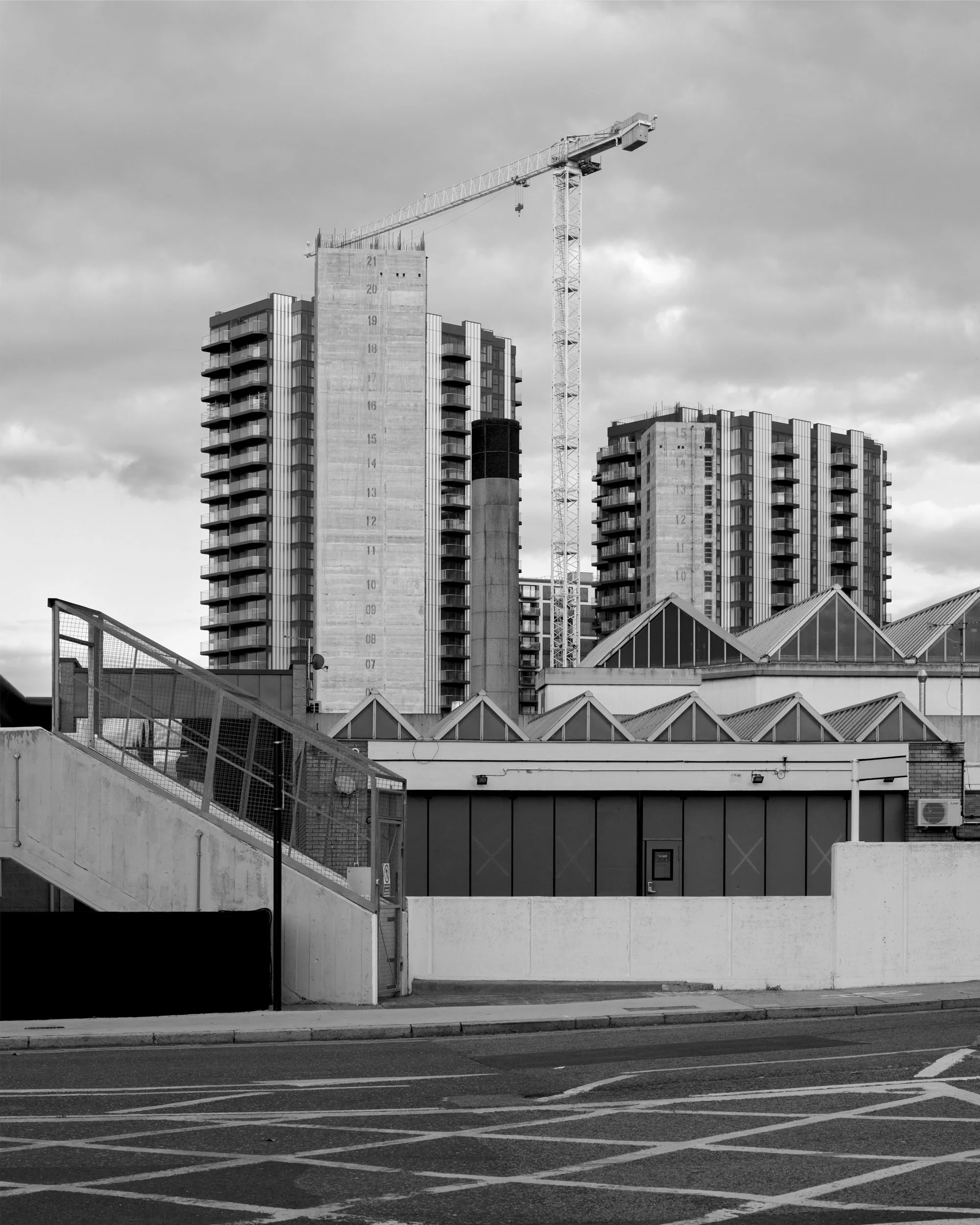 matthew white_backbone_05.jpg