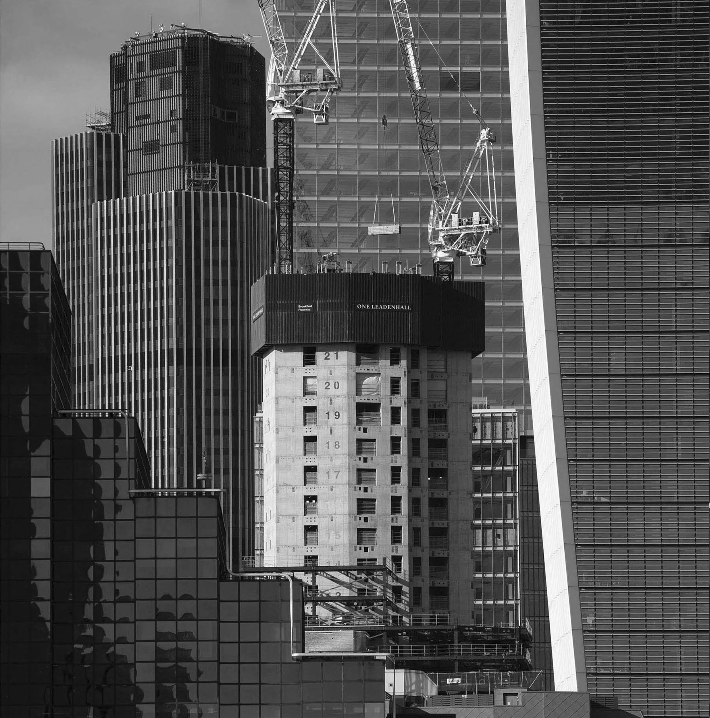 matthew white_backbone_16.jpg