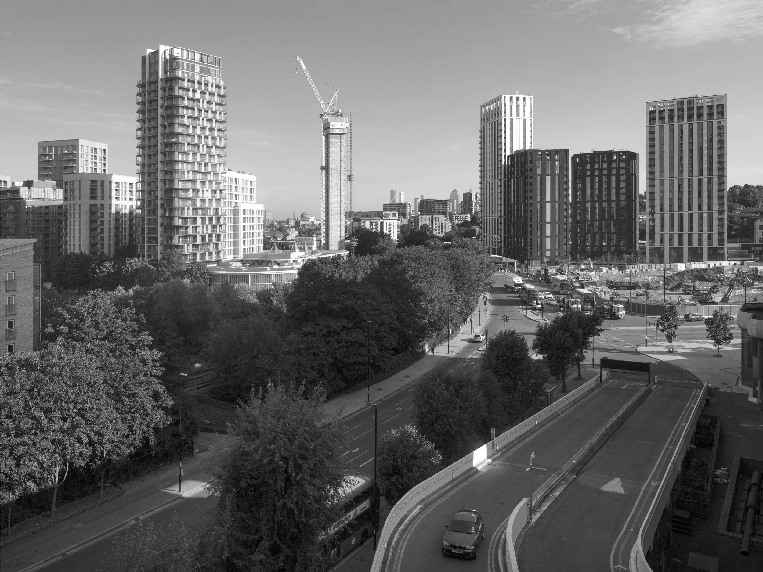 matthew white_backbone_17.jpg