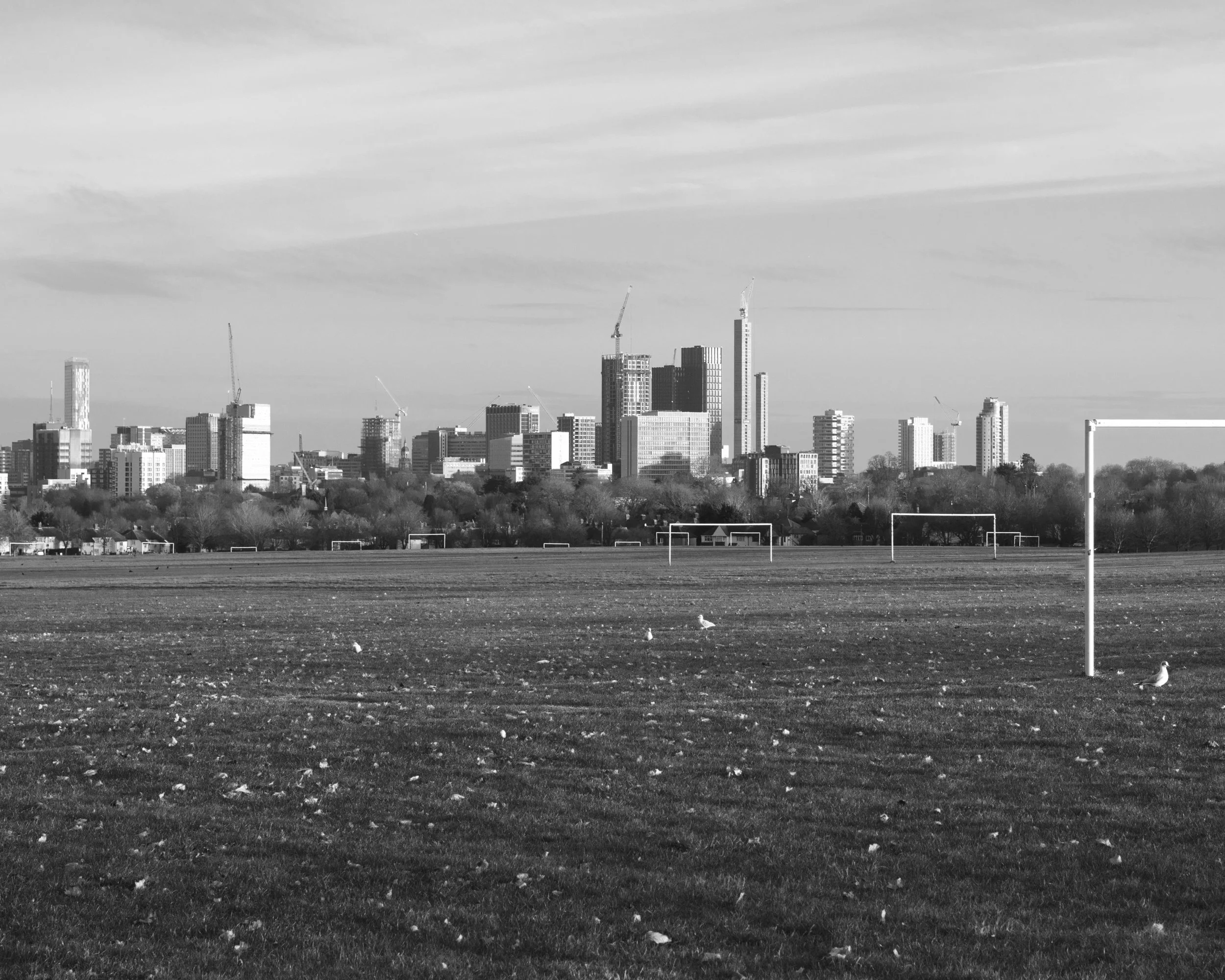 matthew white_backbone_07.jpg