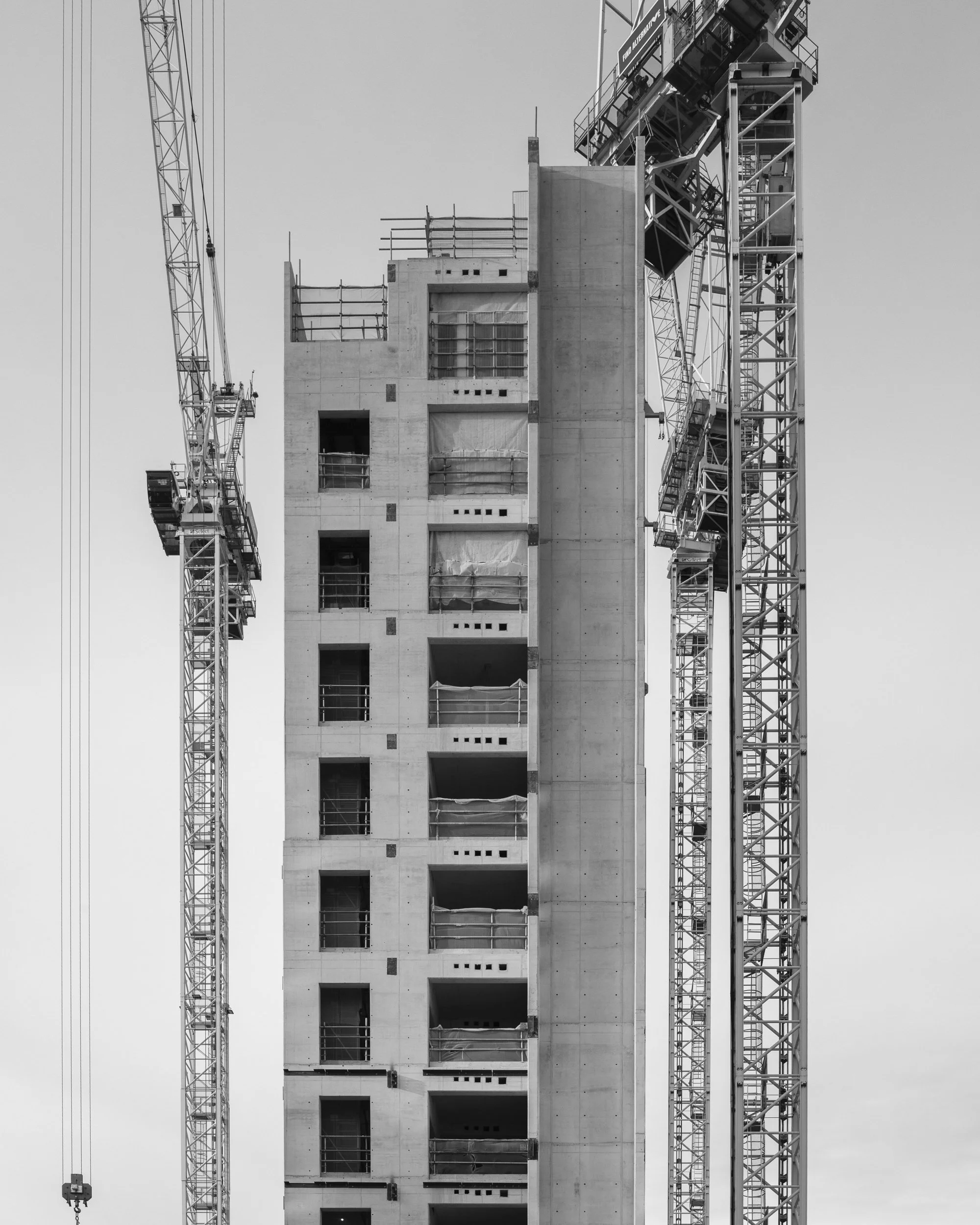 matthew white_backbone_02.jpg