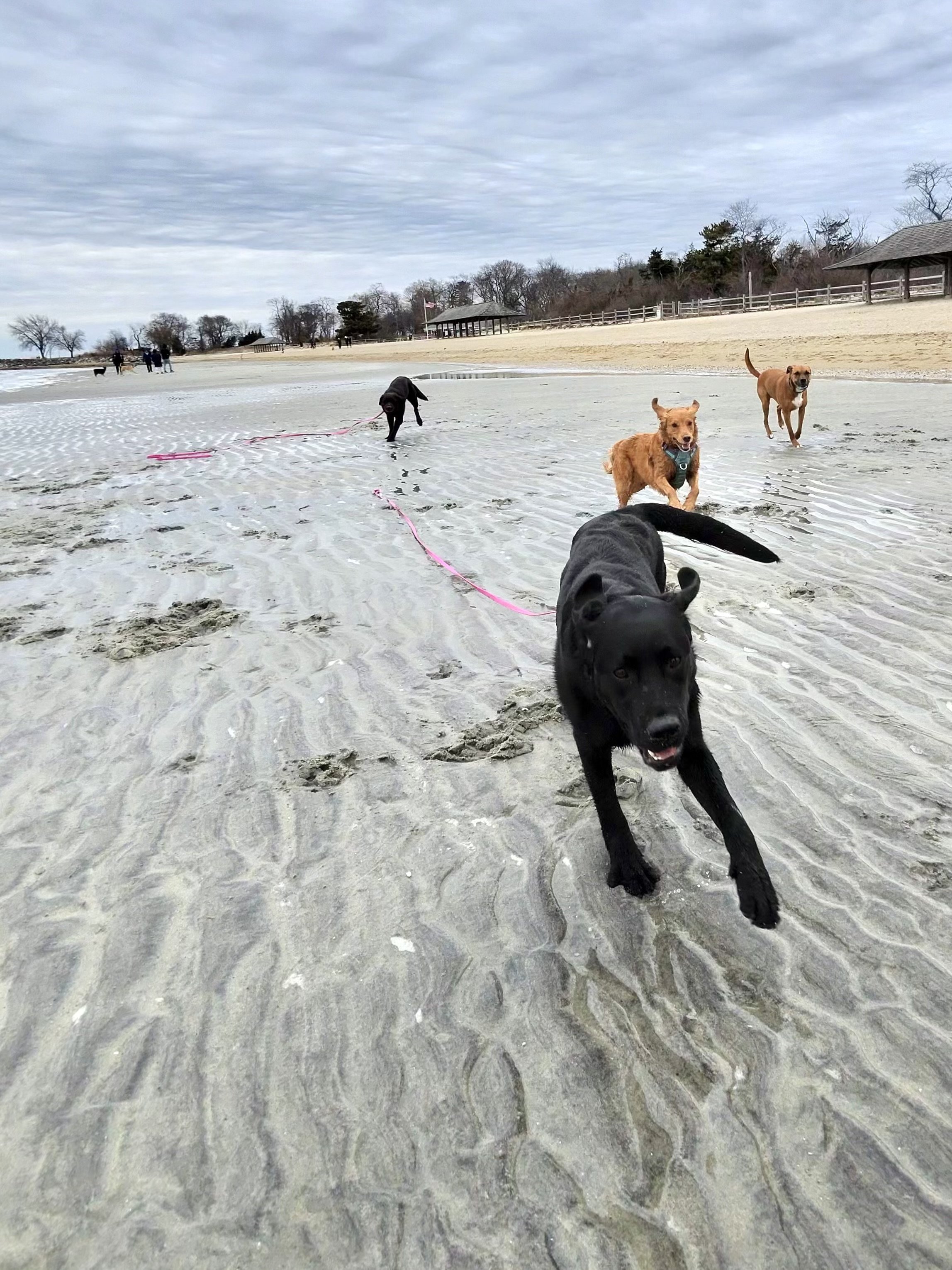 Tods Point Greenwich Ct 