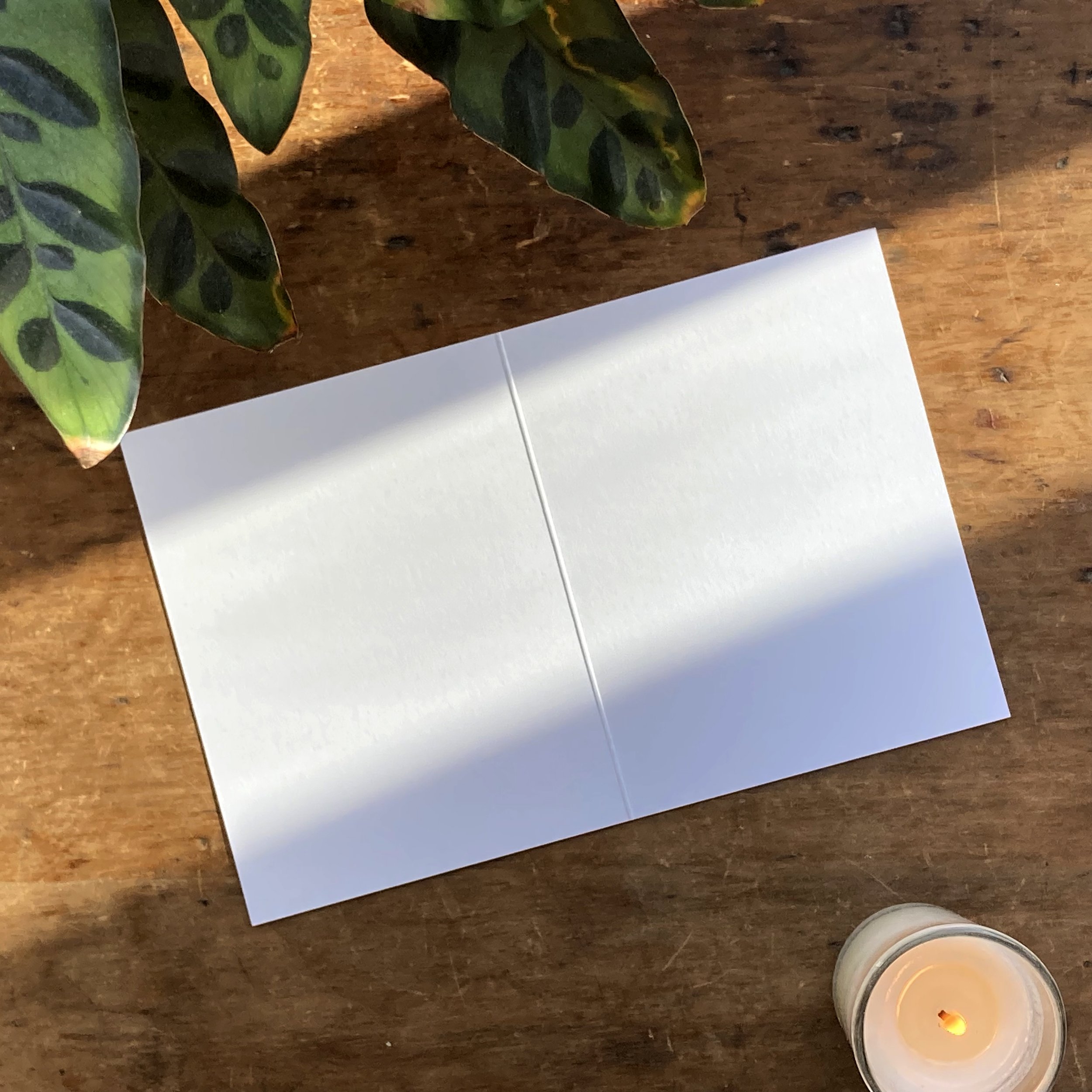 BOU_Greeting Cards_Blank.jpg